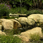 DSCN2734 copy